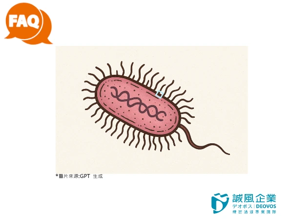 內毒素存在於哪邊? 內毒素存在於哪邊?
