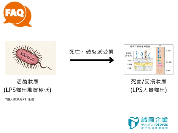 內毒素如何出現 內毒素如何出現