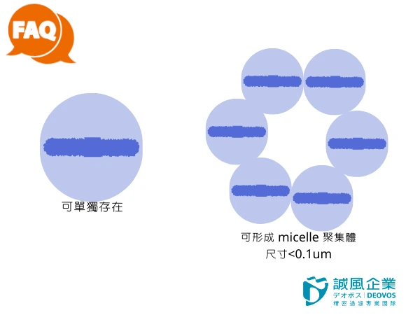 內毒素可單獨存在也可以聚集一起 內毒素可單獨存在也可以聚集一起