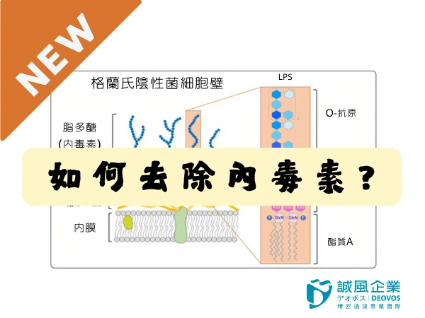 How to remove endotoxins?